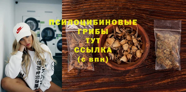 СК Алзамай
