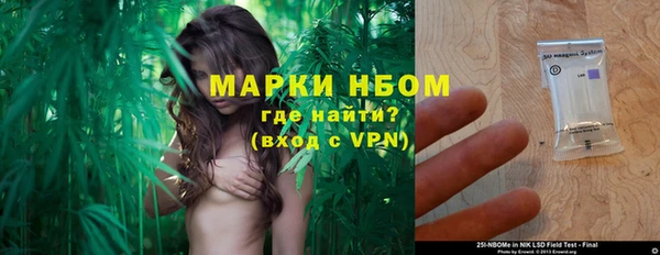 сатива Аркадак