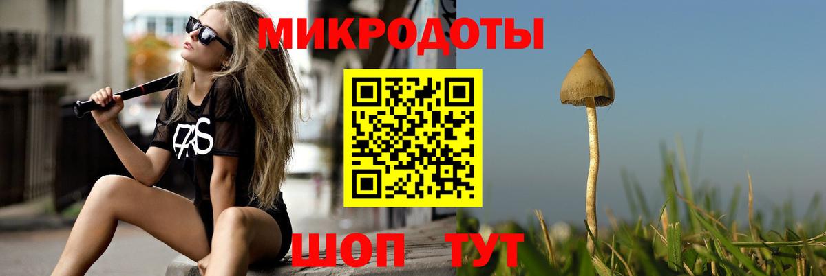 Псилоцибиновые грибы Cubensis  Вход с VPN  Нарткала 